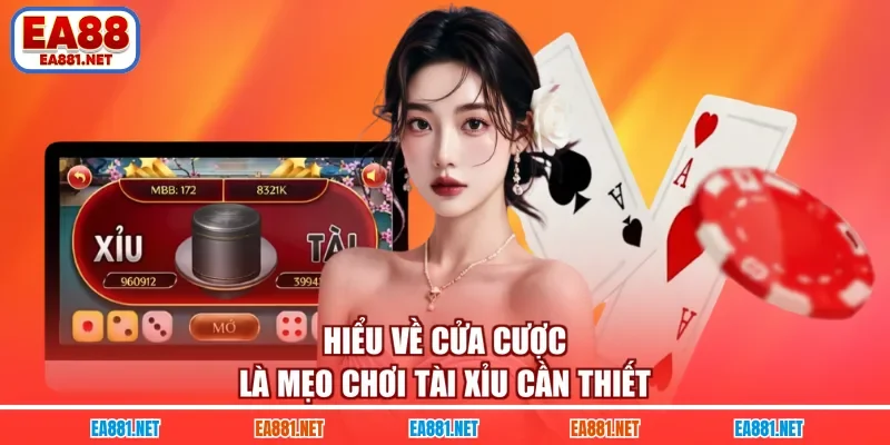 Hiểu về cửa cược là mẹo chơi Tài Xỉu cần thiết 