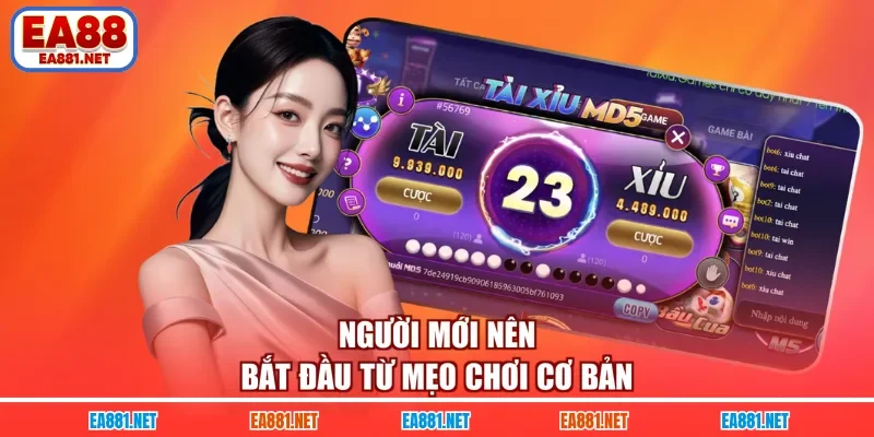Người mới nên bắt đầu từ mẹo chơi cơ bản 
